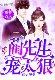 蔺少管管你的学渣老婆莫小淘