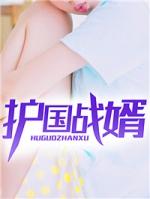 护国战婿全文阅读