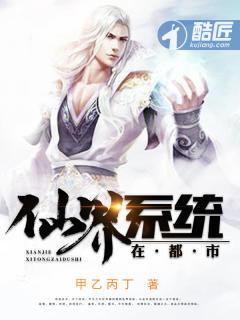仙界系统在都市笔趣阁