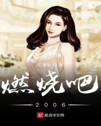 燃烧吧2006无删减