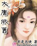 大唐aⅴ