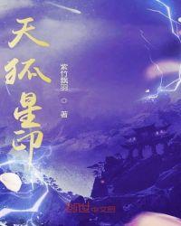 天狐星鲁智深