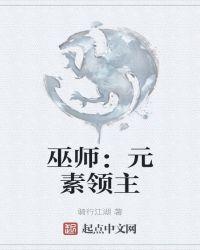 巫师元素领主txt手机