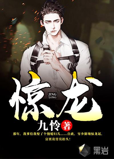 惊龙全传