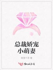 总裁娇宠小萌妻段沐阳宁星然