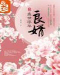 良婿全文阅读无弹窗