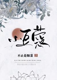 小豆蔻TXT免费