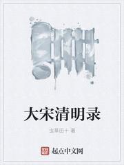 大宋清明录之类