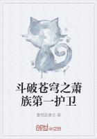 斗破苍穹之萧家子弟