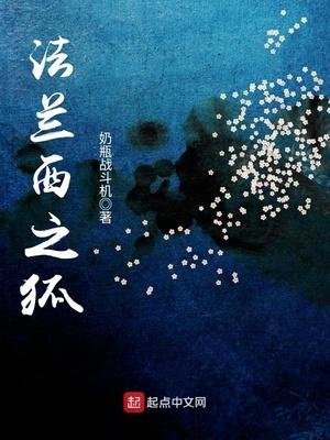 法兰西之狐 奶瓶战斗机