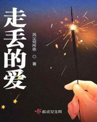 爱走丢后的那三年