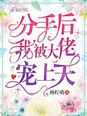 分手后被大佬宠上天by半夏南星免费阅读