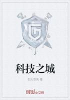 加拿大科技之城