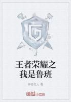 王者荣耀之我是路人王