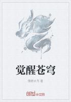 合金弹头觉醒苍穹