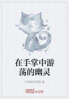 在手掌中游荡的幽灵是什么