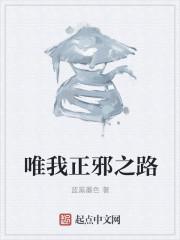 唯我正邪之路txt校对版