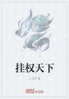 权宠天下全集