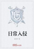入侵程度