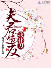 夫君谋朝篡位吧全文免费阅读