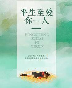 平生至爱你一人完结版