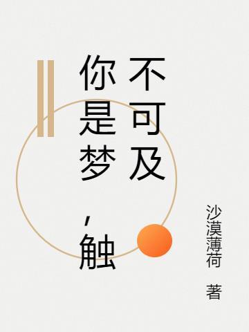 你是我触不可及的梦是什么意思