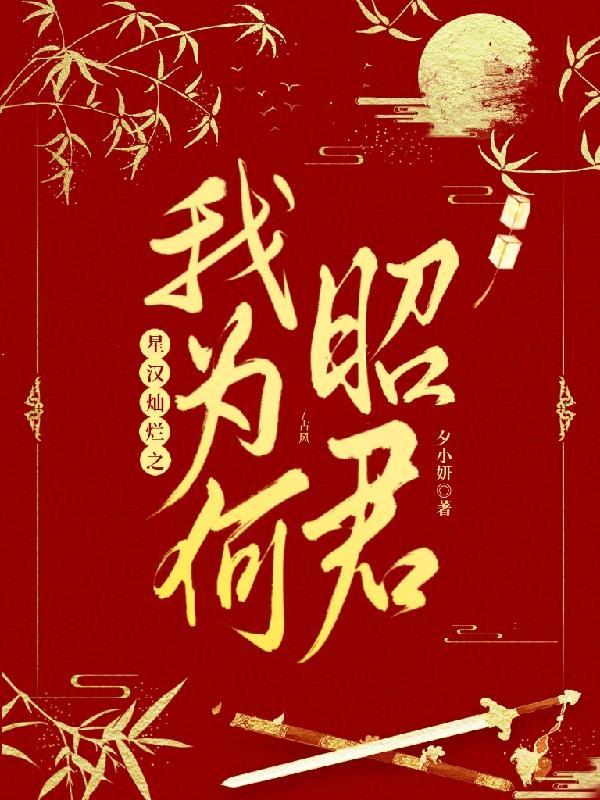 星汉灿烂昭君怀孕
