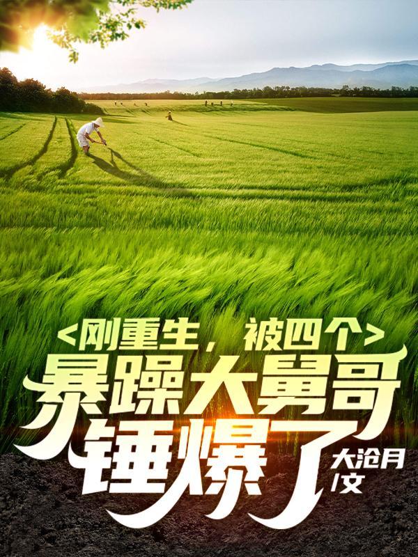 被四个暴躁大舅哥锤爆了在哪看