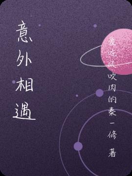 意外相遇的意思