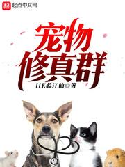 修真江湖2宠物选择