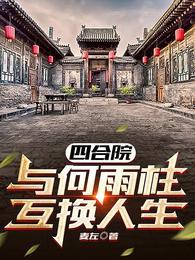 四合院 主角何雨轩