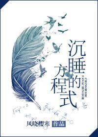 沉睡的方程式讲了什么