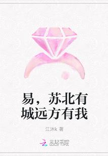 易，苏北有城远方有我