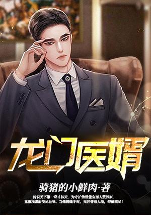 龙门医婿